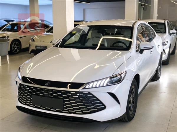 بي واي دي Qin Plus 2025 للبيع في العراق - دهوك